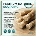Siwak Smile : Natural Toothbrush Sticks